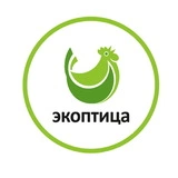 Экоптица